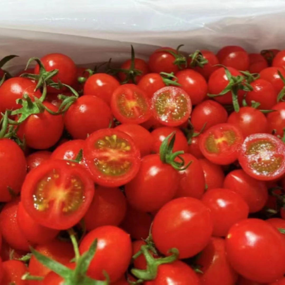 好吃脆甜小番茄一箱新鲜番茄同城送