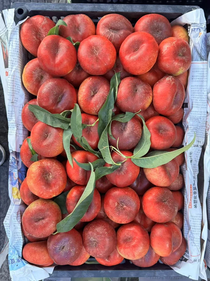 【顺丰包邮】新疆正宗黄肉大油蟠桃，口口脆，脆甜水果可口桃子新鲜