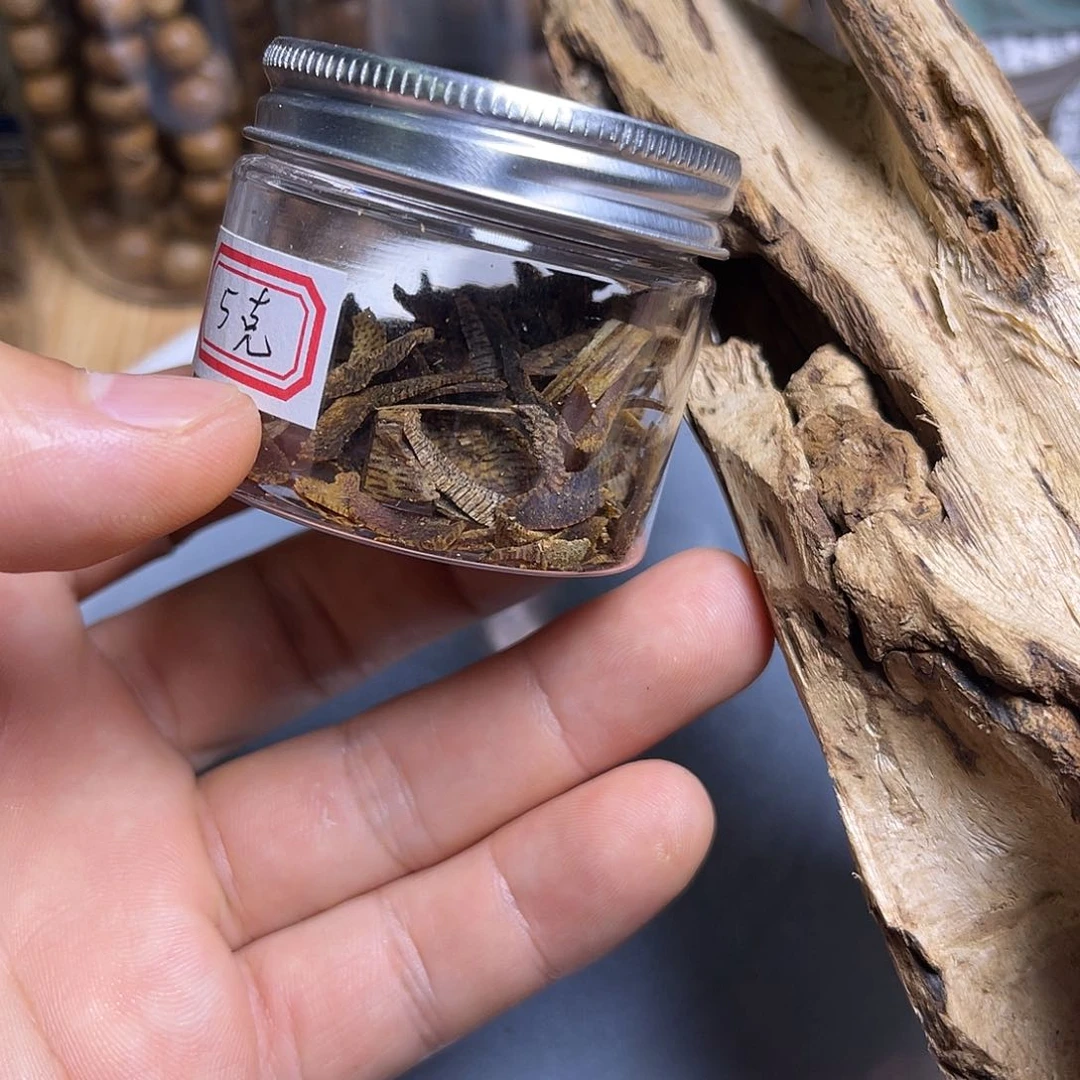 香榧木海南种植沉水绿奇5克
