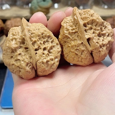 文玩核桃把件霸王龙带彩磕尖46