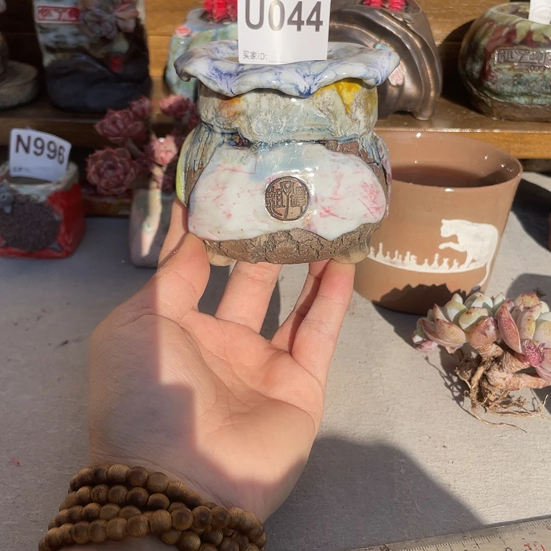 坛子姐多肉花盆内口5