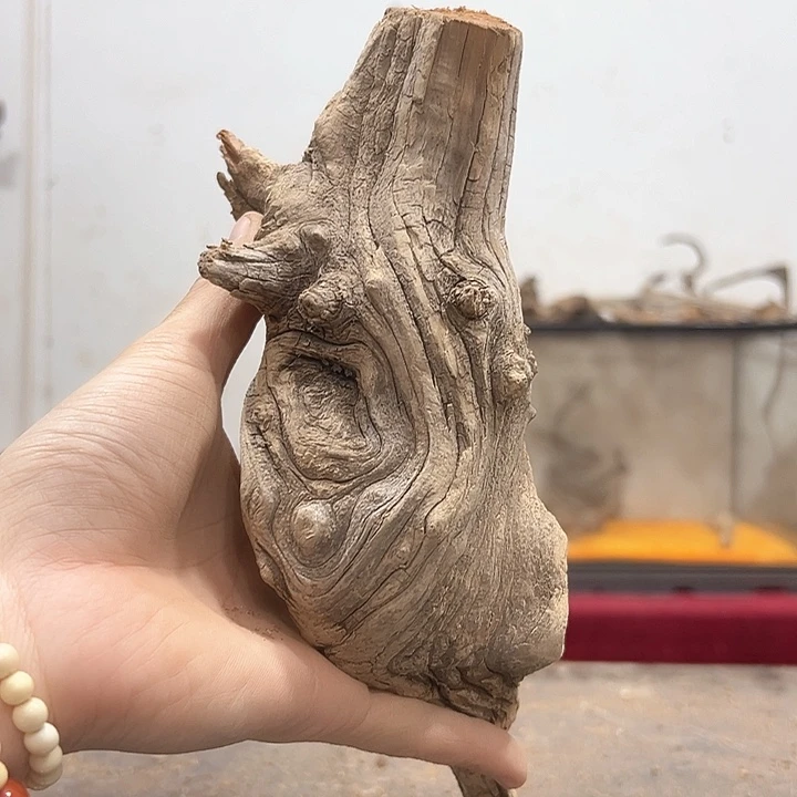 柏木觉*我们的生活是以自己为主