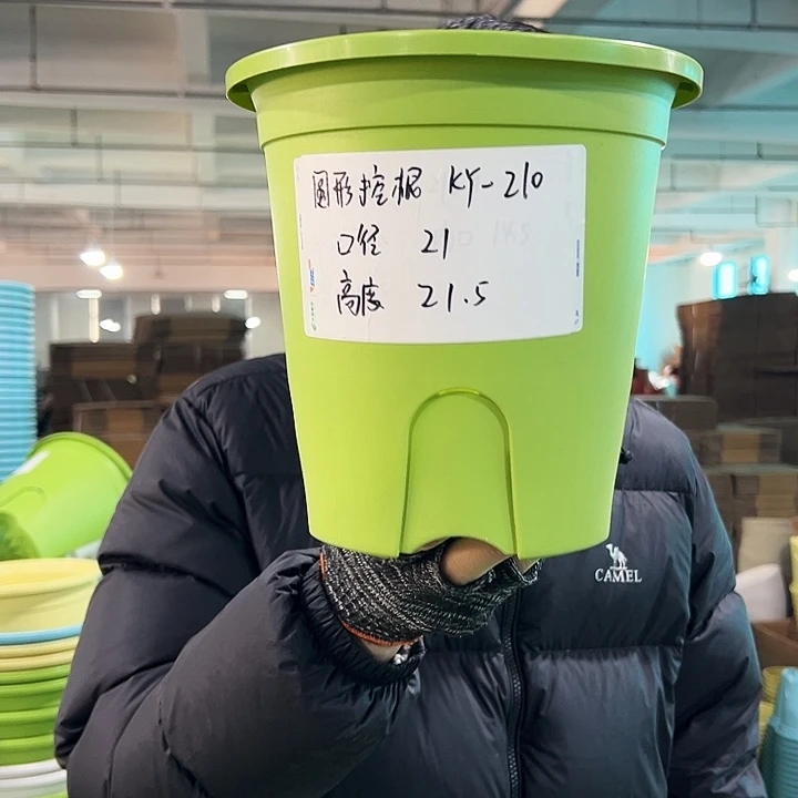 正品圆控口21高21果绿无托8只