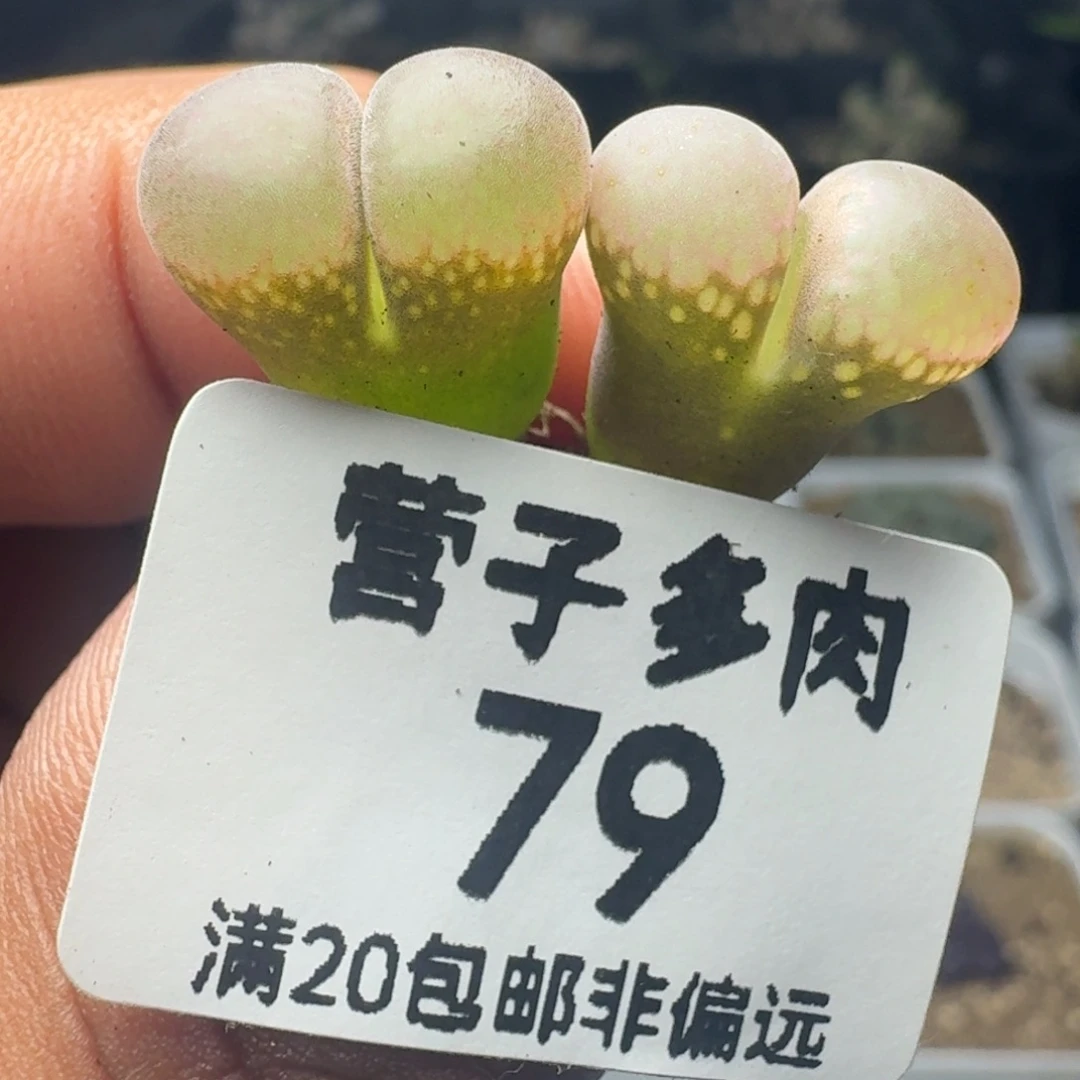 福利。
