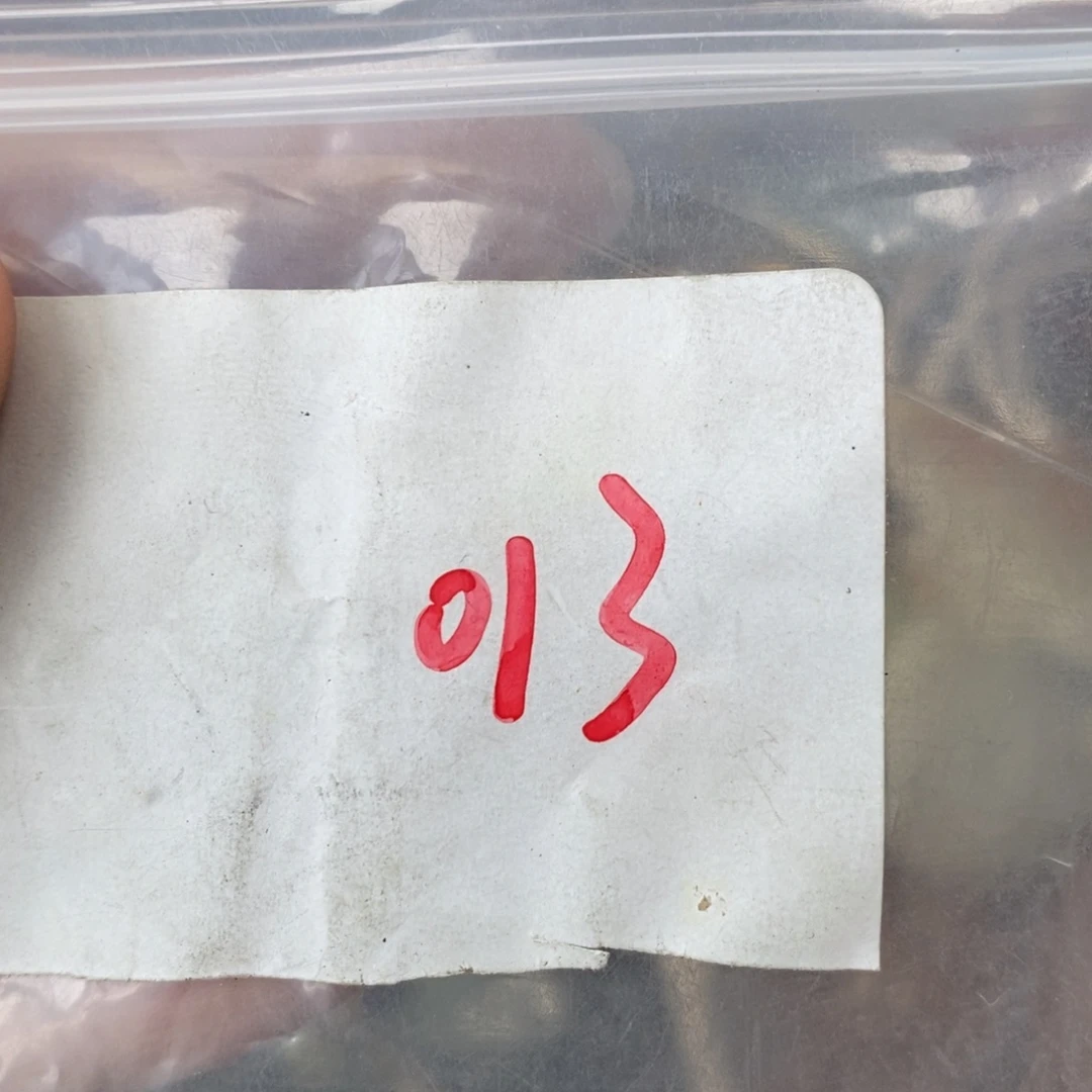 秋***景吊坠龙脊菩提德宝文玩直播间专属链接