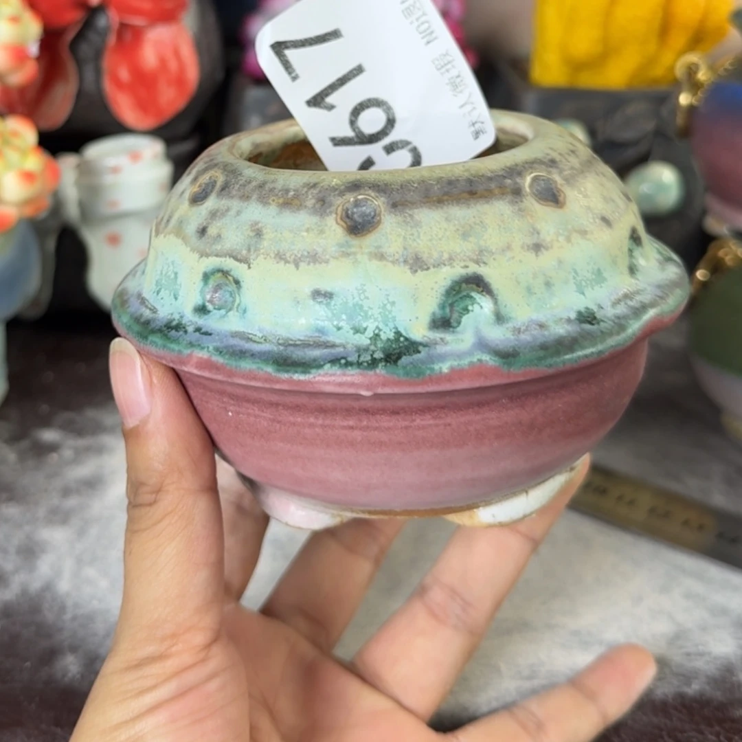 重庆小燕子欢迎那家617