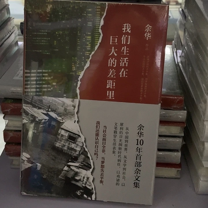 我们生活在巨大差距 精装带塑封