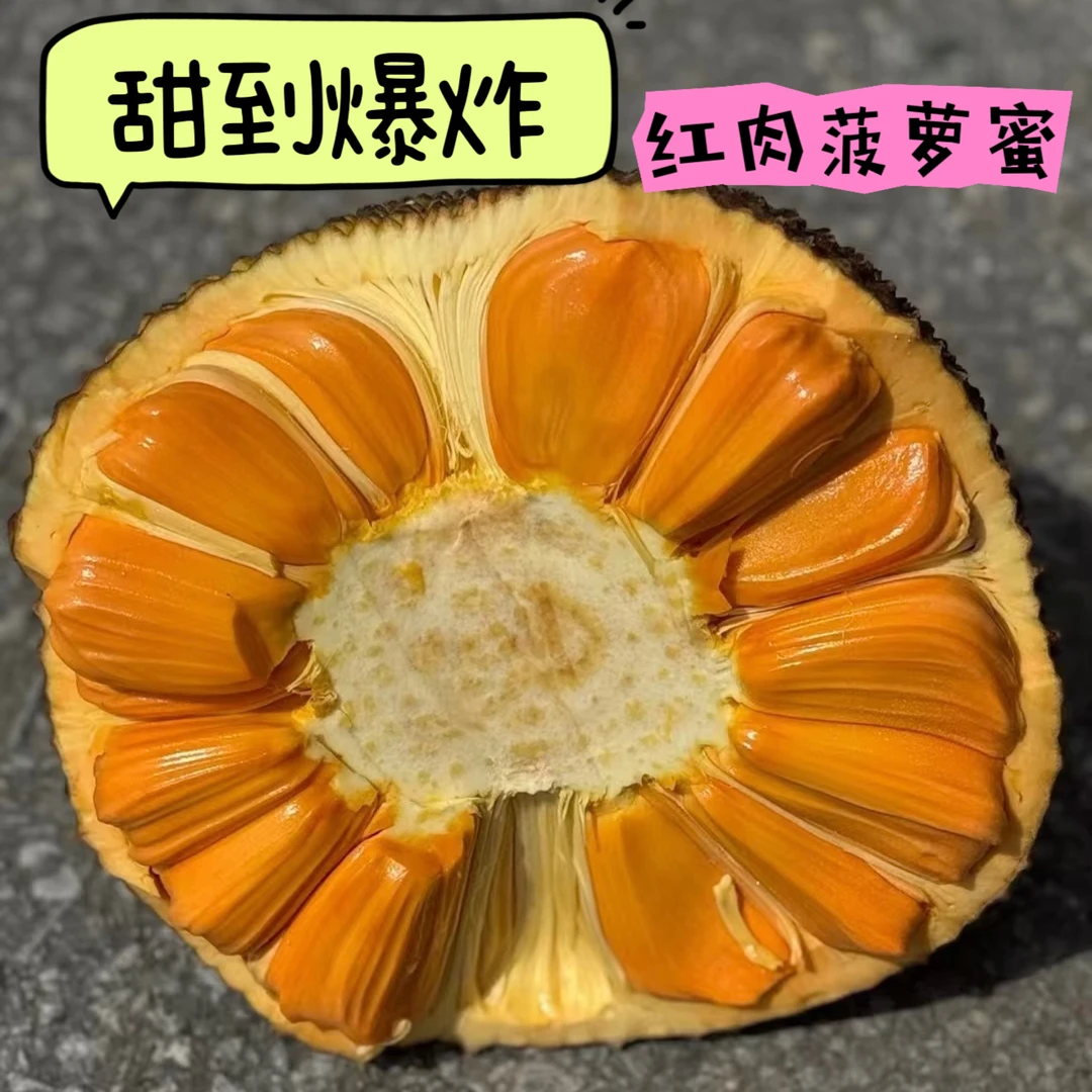 海南泰8红肉干苞菠萝蜜新鲜香甜当季热带水果海南菠萝蜜