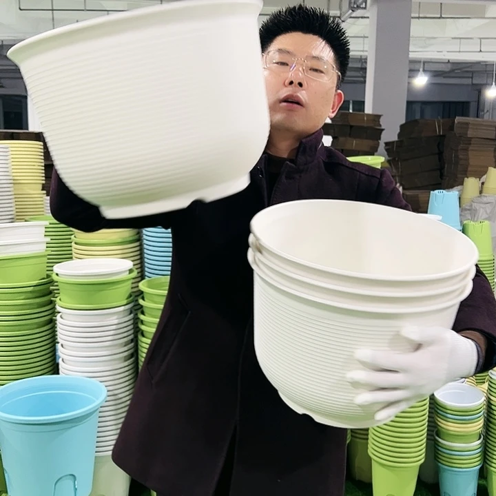 正品矮陶口36高25白色3只无托