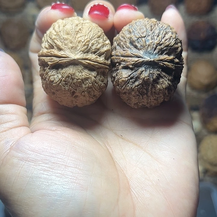 冥***ᐜ文玩核桃把件32噬血铁虱41尺