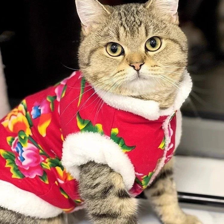 猫咪衣服加绒保暖东北大棉袄秋冬装布偶蓝猫幼猫宠物新年唐装批