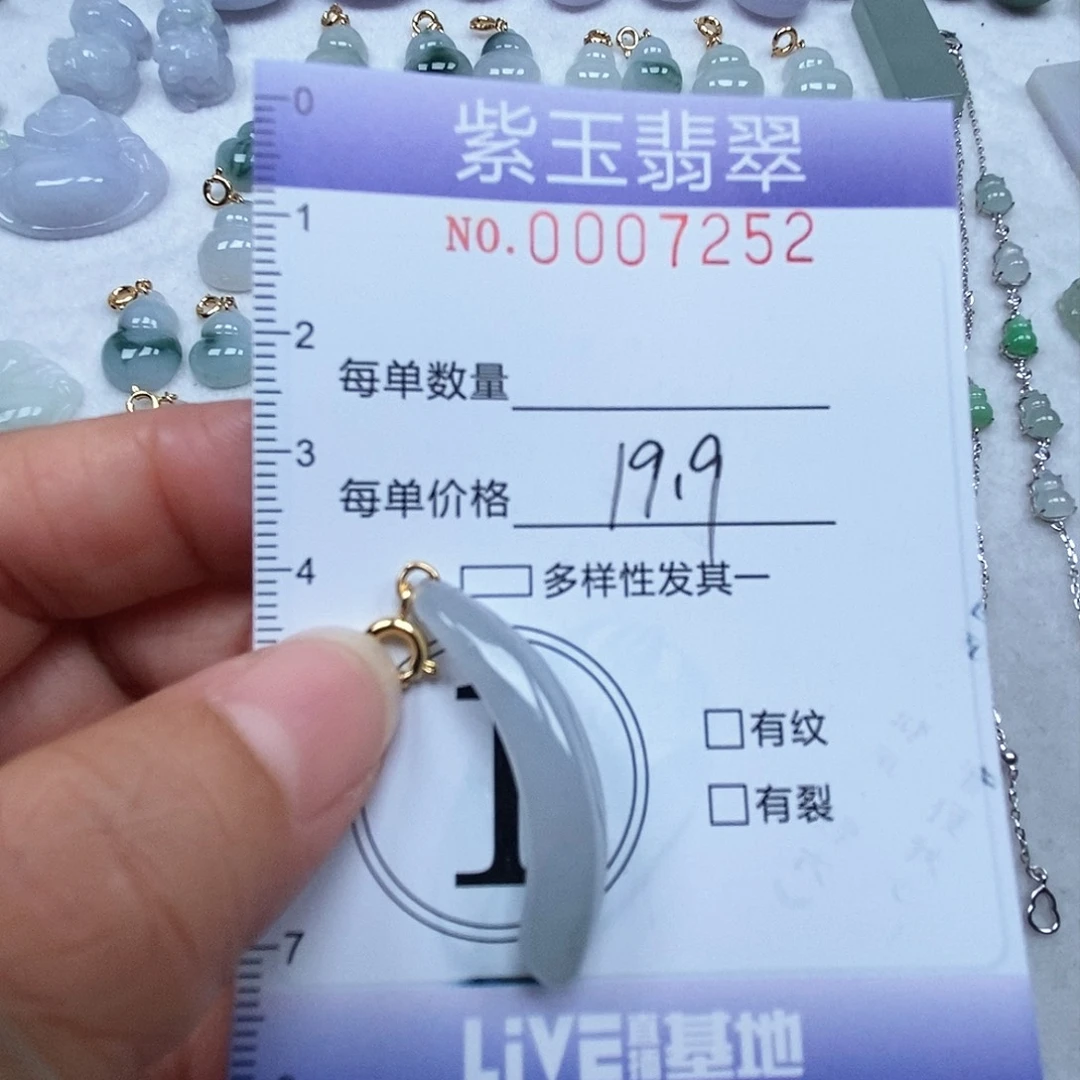 翡翠未镶嵌颈饰冰胶随行