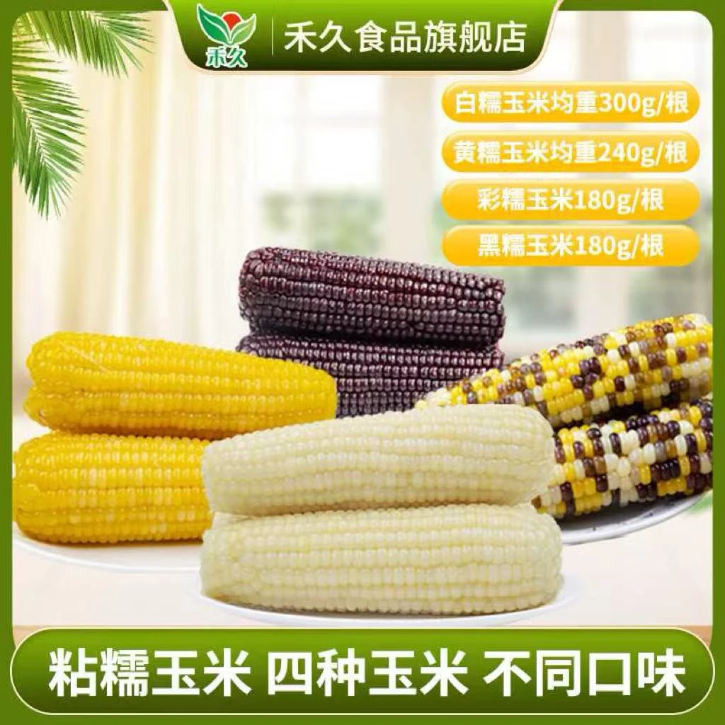 【禾久】粘糯玉米 白300g*8/黄240g*9/彩180g*11/黑180g*10/混合8根