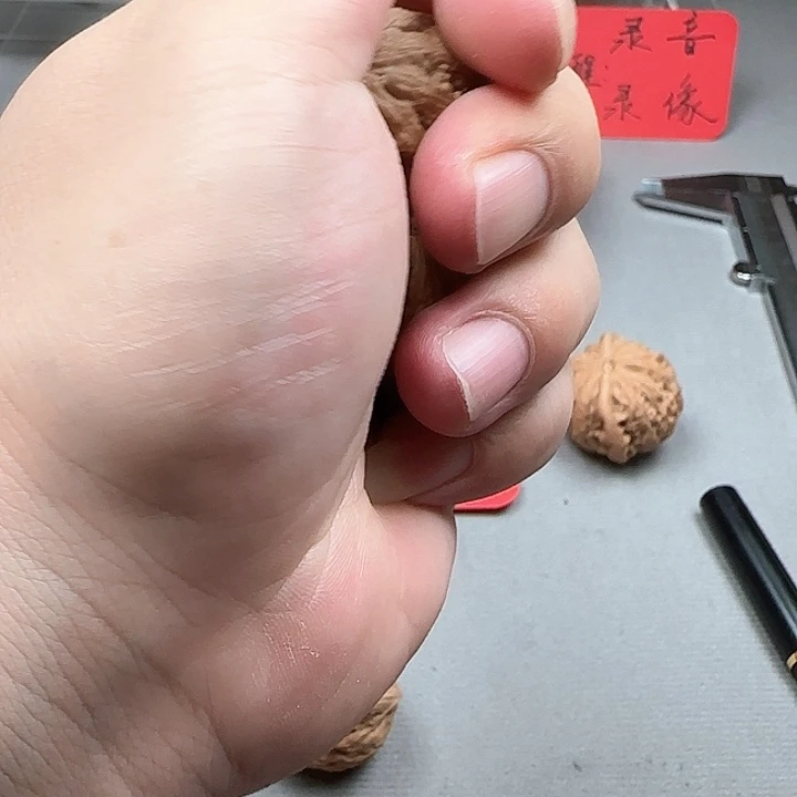 天***心核桃霸王龙小手捻