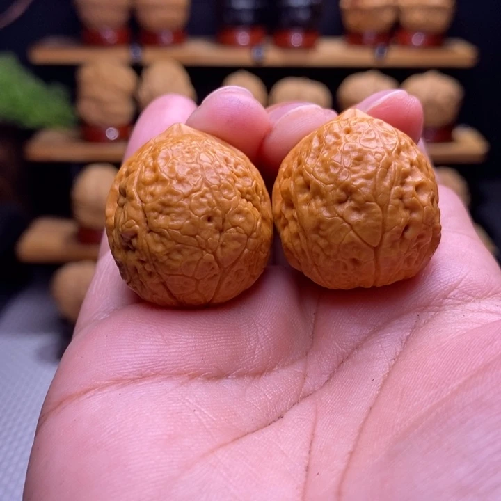 木质类云铁小金丹52号