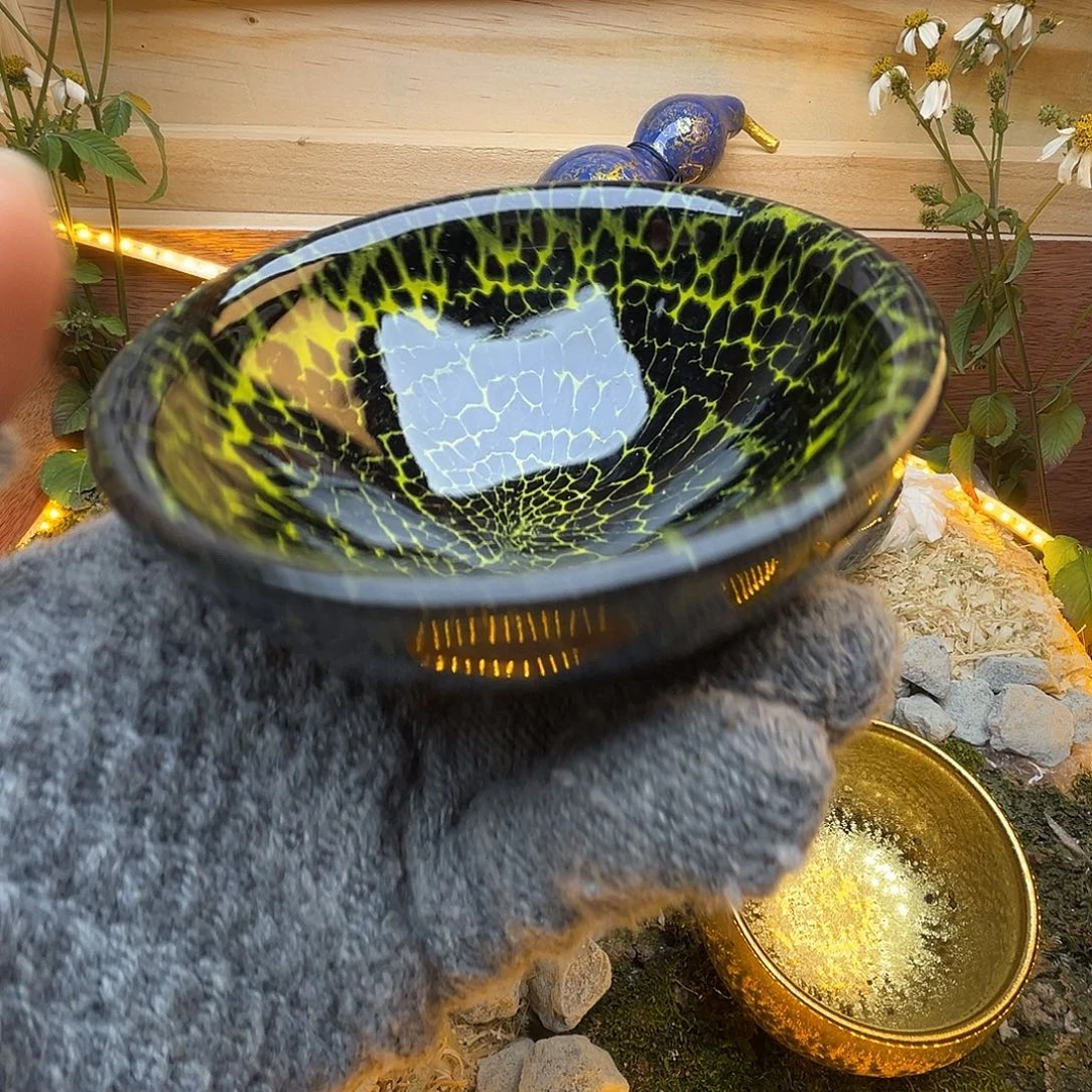 茶盏你不接了是你在外面不说话