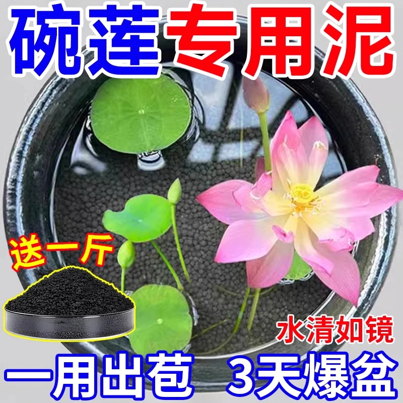 碗莲专用泥水草泥碗莲专用泥不臭水不浑水碗莲睡莲水培植物营养泥