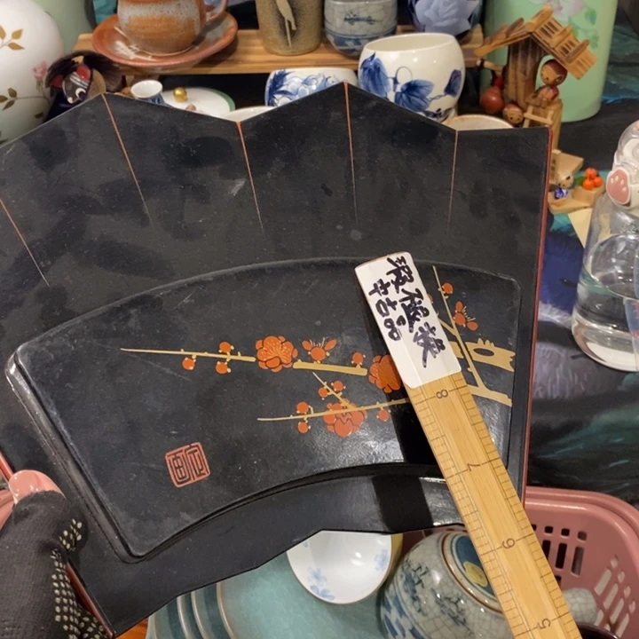 在这个充满生机又神秘这