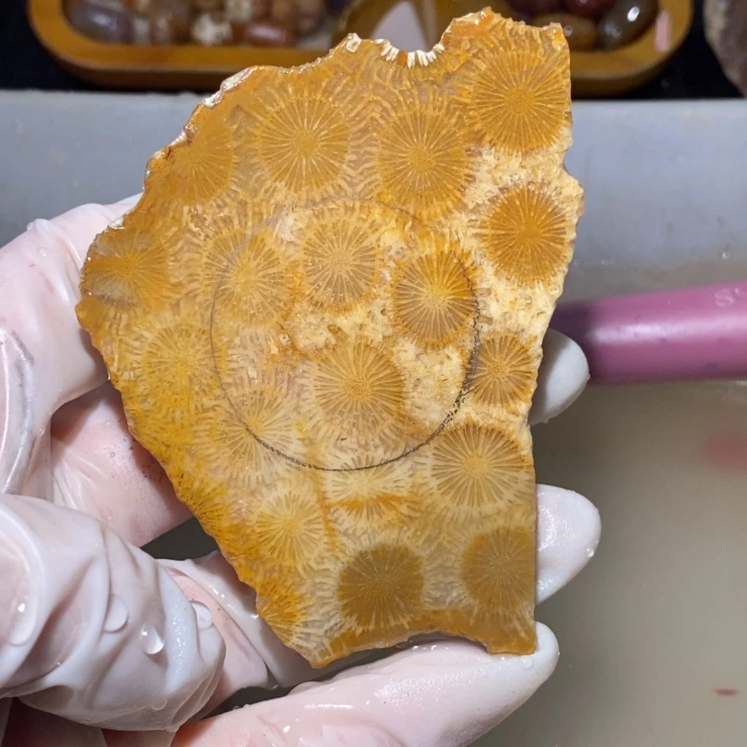 【闪购商品】硅化玉颈饰未镶嵌