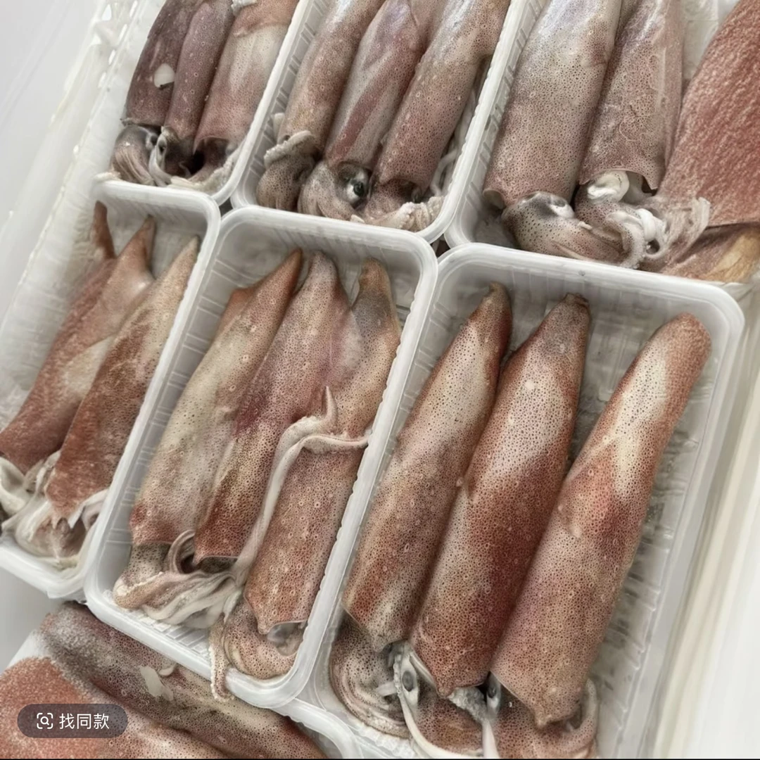 野生海钓新鲜大鱿鱼适合白灼红烧清蒸椒盐等做法