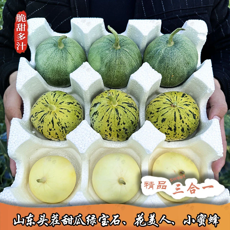 【顺丰包邮】三色混合装甜瓜产地直发山东头茬甜瓜脆甜多汁新鲜采摘