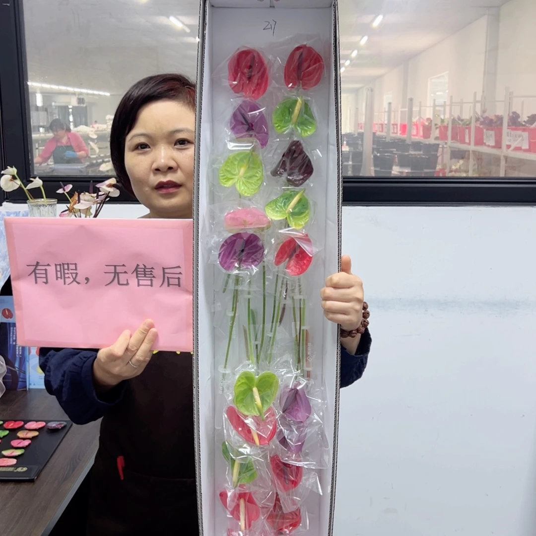 完全开放混色20枝迷你无售后款217
