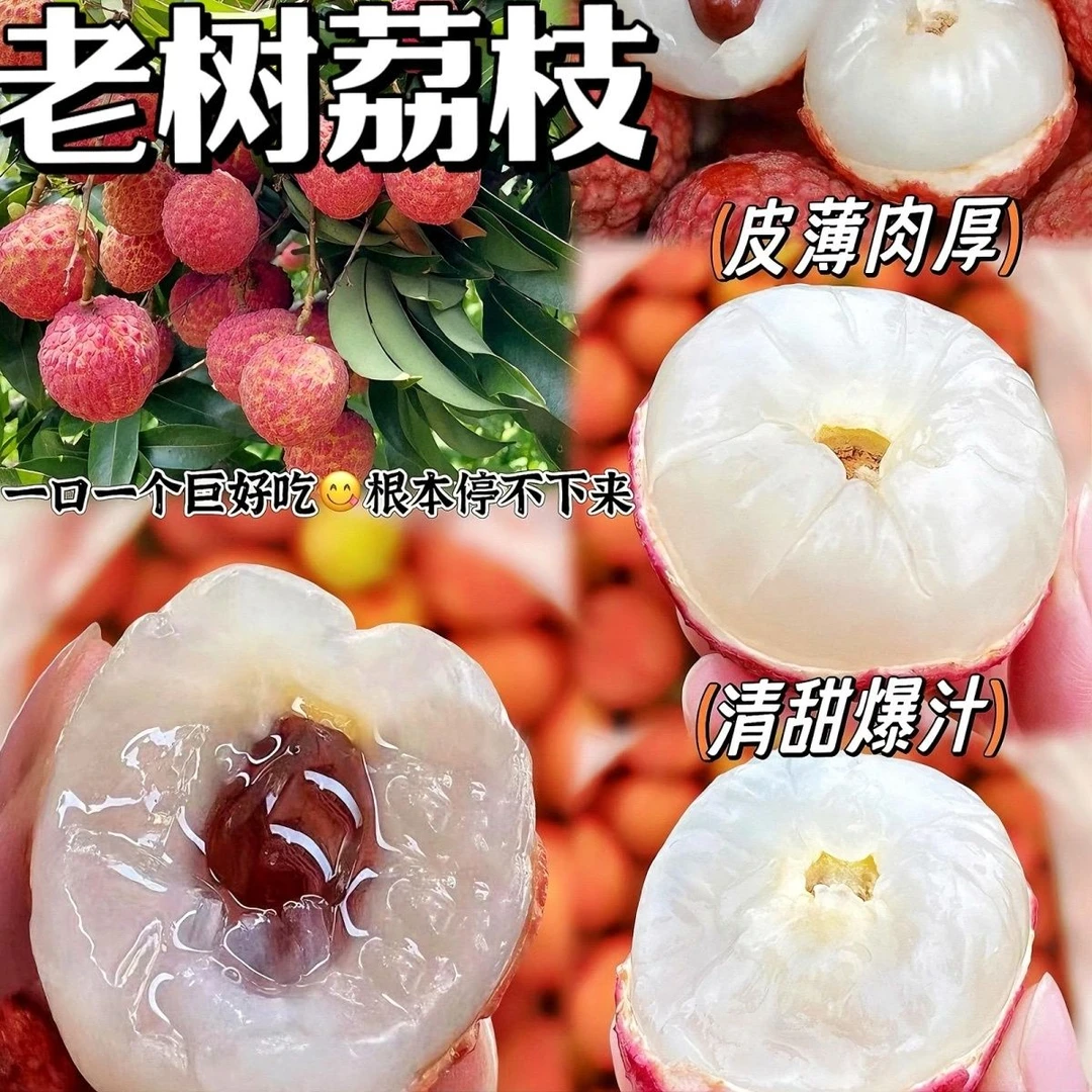 【新鲜乌叶荔枝】新鲜老树现摘清甜多汁乌叶荔枝现货包邮发出