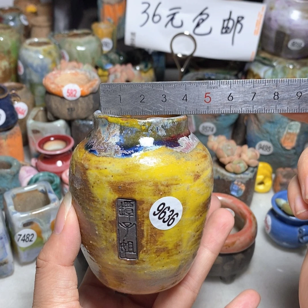 拍3送一个小礼物