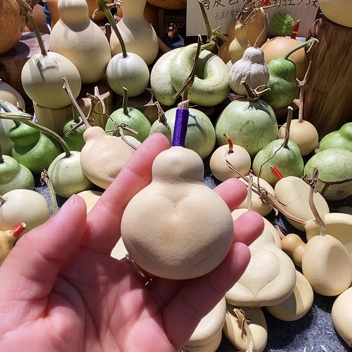 小***点葫芦村村支部组织班子以