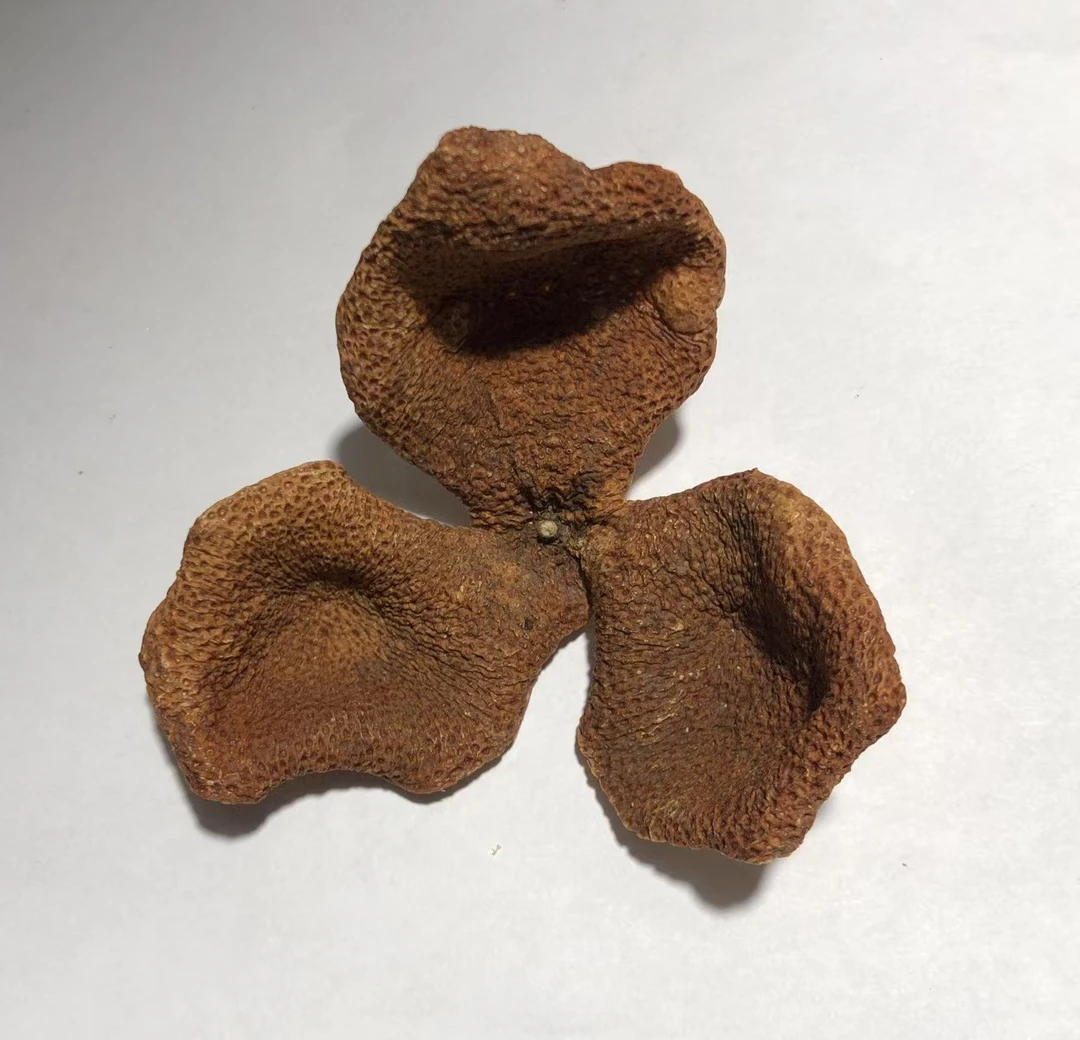 2022年新会茶坑二红跟大红皮之间生晒适合泡茶的正宗新会陈皮