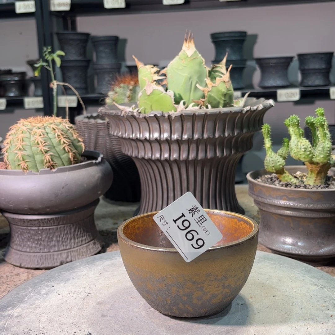 景德镇手工素里内口10高6.5