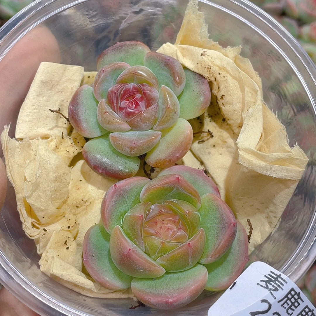 找***找221。定。