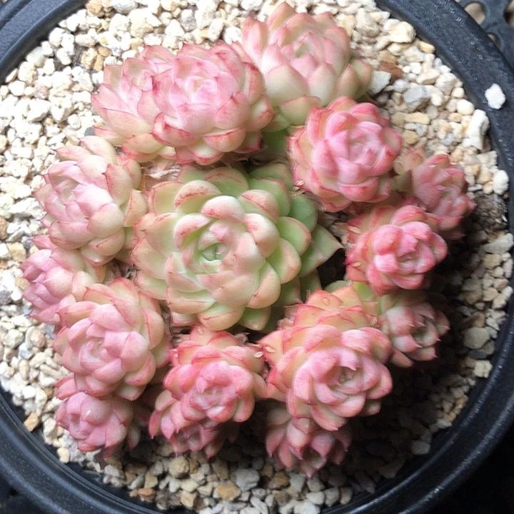 怪****。355//////////////////