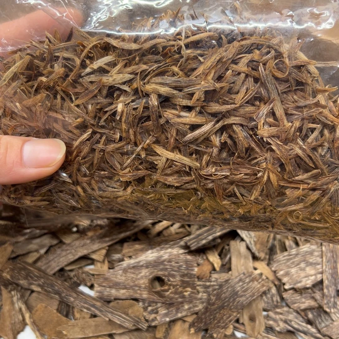 香港沉水树心油勾丝10g