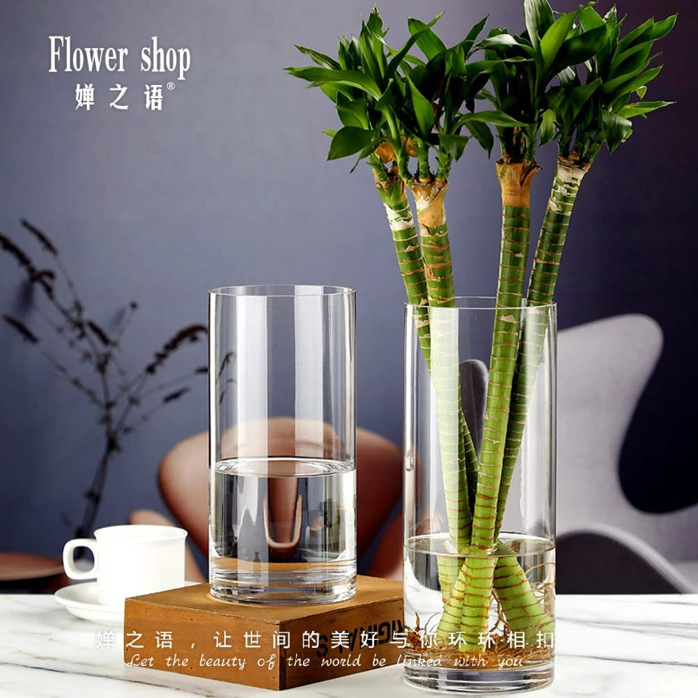透明直筒玻璃花瓶加厚圆柱形玻璃瓶简约百搭办公室