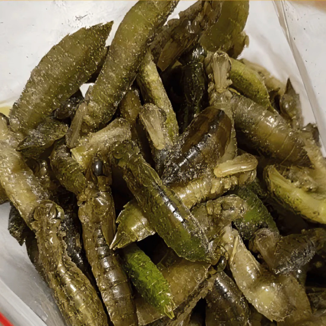 新鲜速冻水蜻蜓特产昆虫蜻蜓幼虫