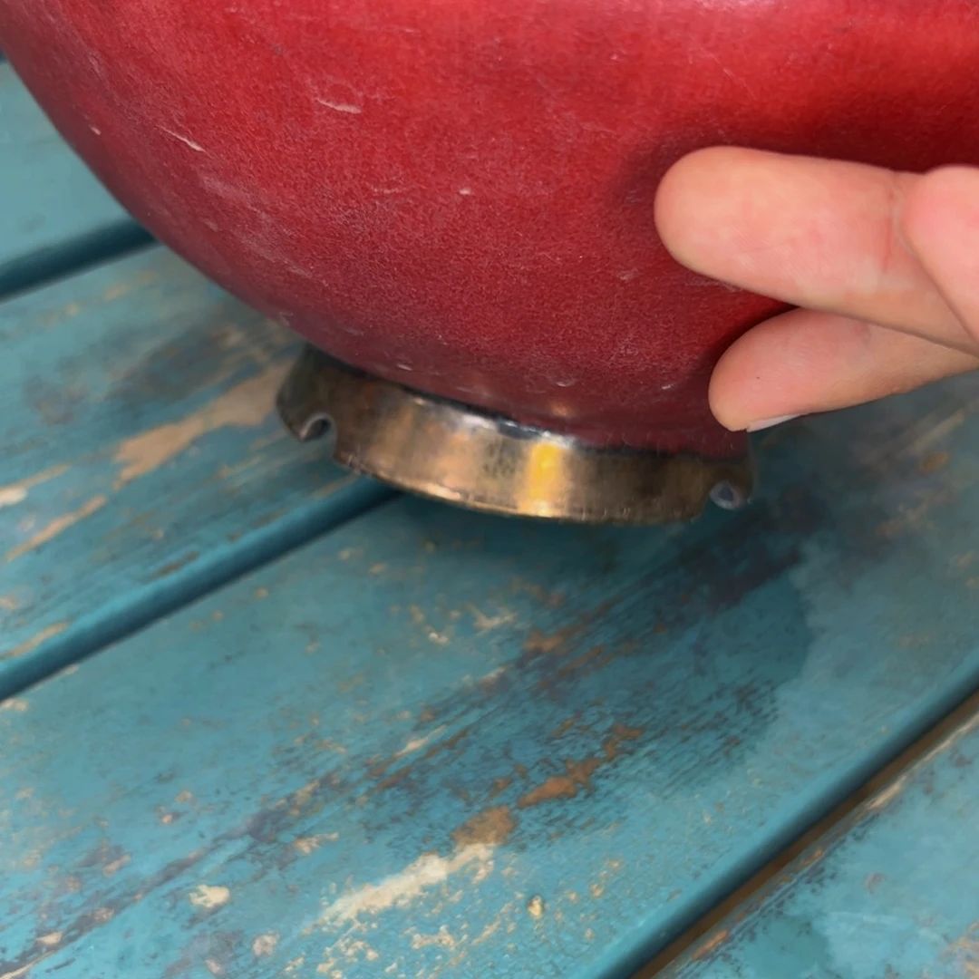 多肉一物一拍0528-19盆盆