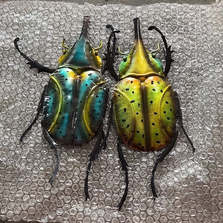 钱钱钱钱钱钱钱钱钱钱钱钱钱