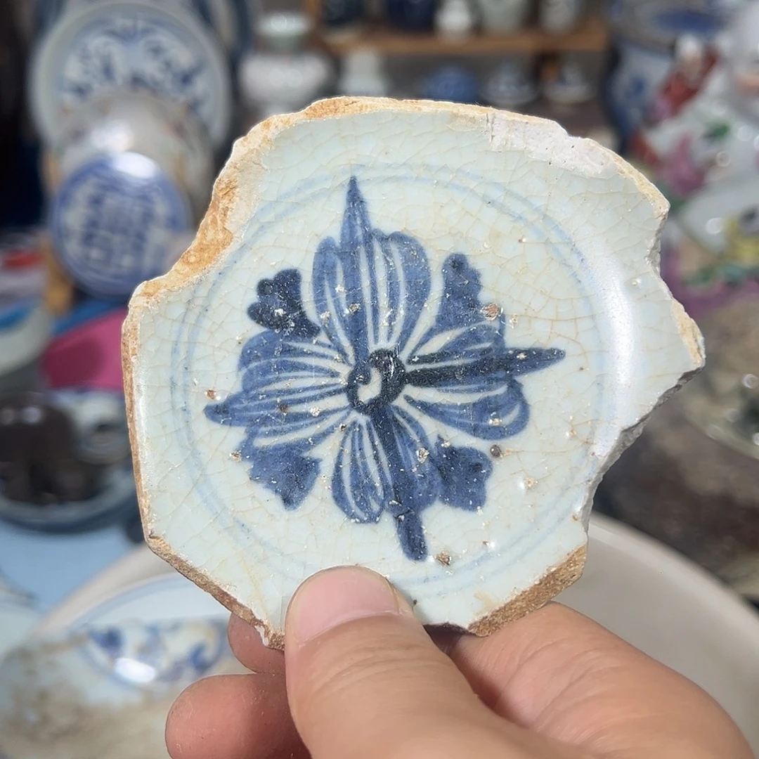 瓷片瓷片标本，全场包邮
