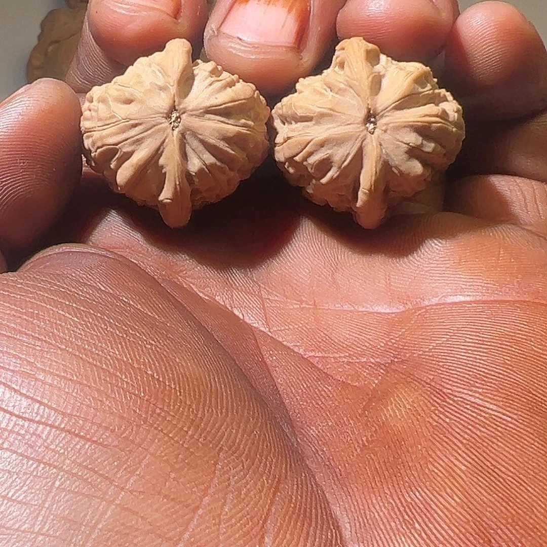 叮***咚把件文玩核桃文玩