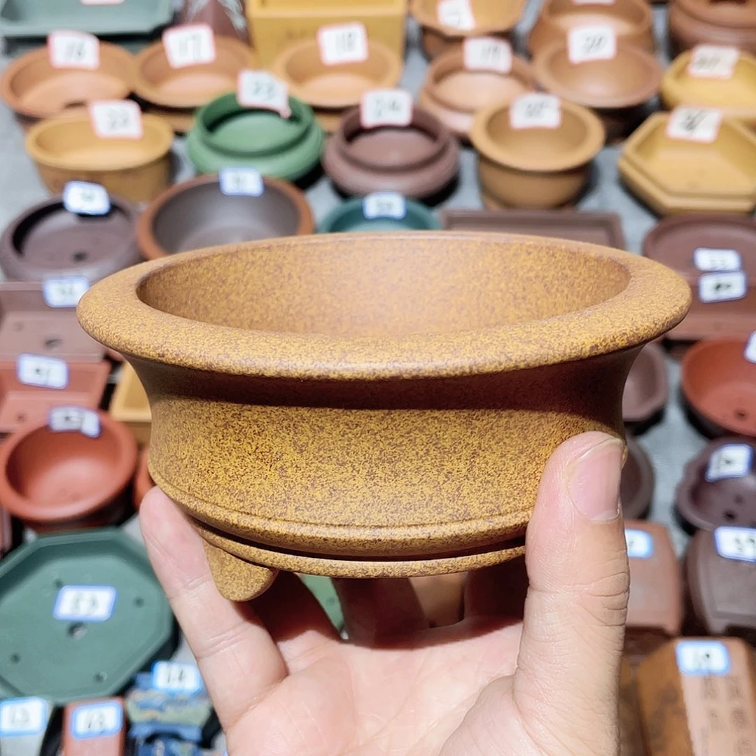 紫砂小盆11*4.5cmmmm