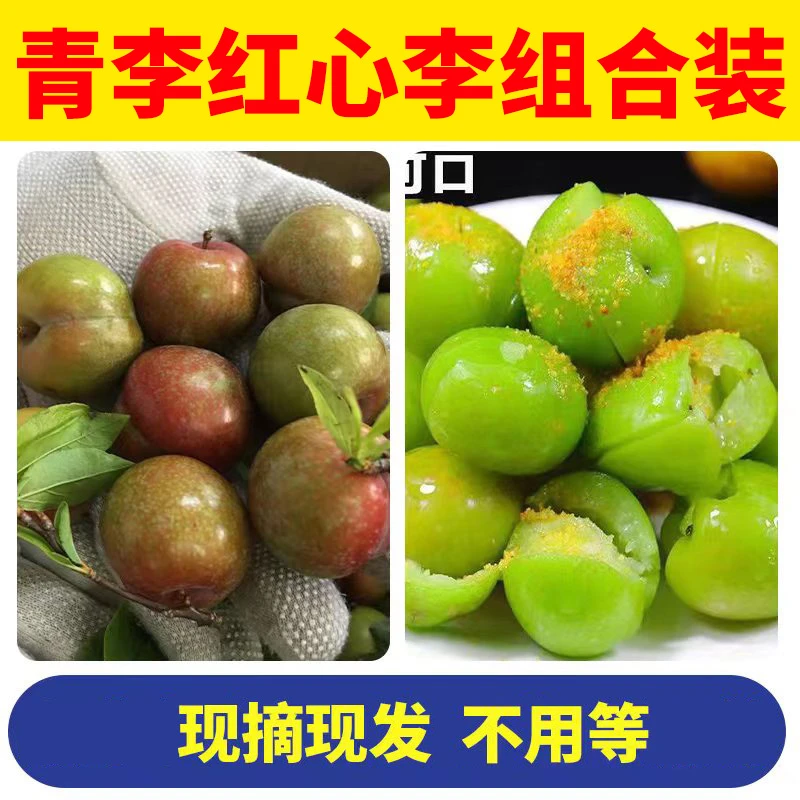 【组合双拼装】广东三月李三华李青李子三华李脆爽新鲜采摘应季水果