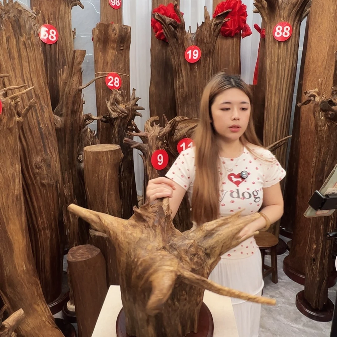 摆件沉香沉香原料