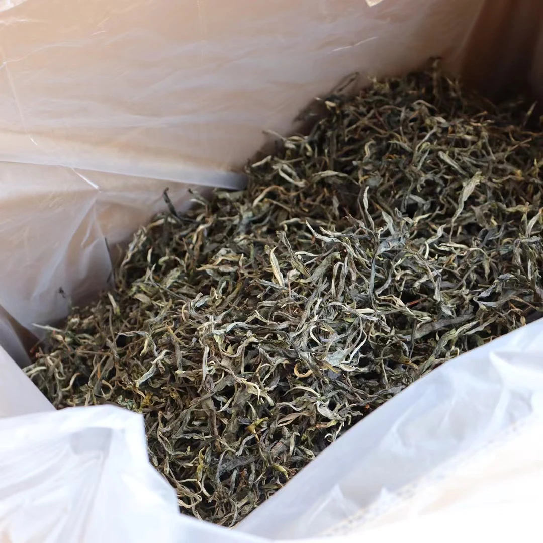 【冰岛老寨33号】2021年冰岛老寨核心古树黄金叶200克/普洱生茶