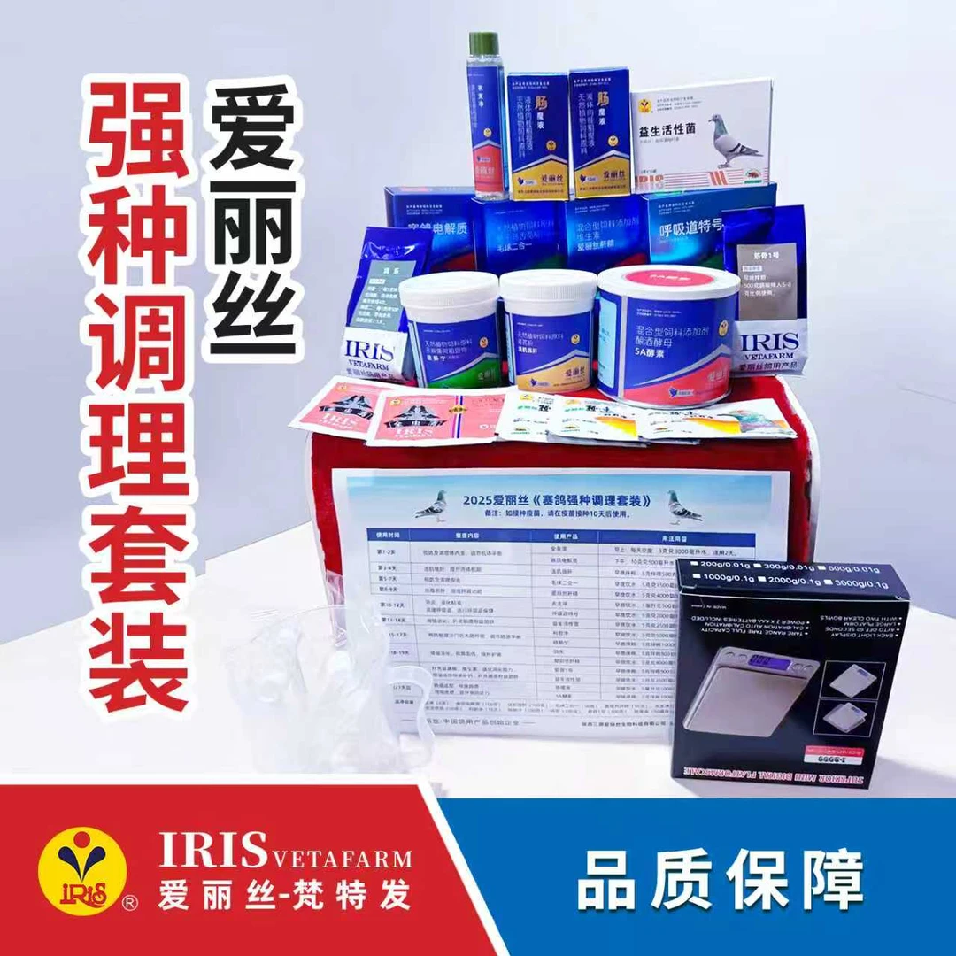 爱丽丝种鸽调理套餐营养品2025款赛鸽信鸽用品约用于100羽鸽子