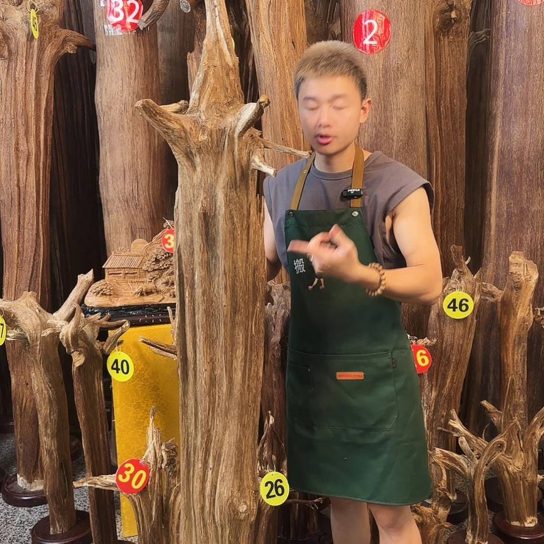 沉香沉香碎屑天然沉香原材料香料