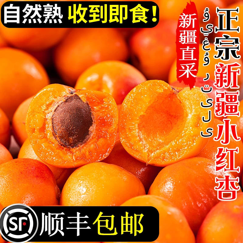 顺丰新疆小红杏新鲜采摘网红水果新疆地域特产多汁果香浓郁包邮