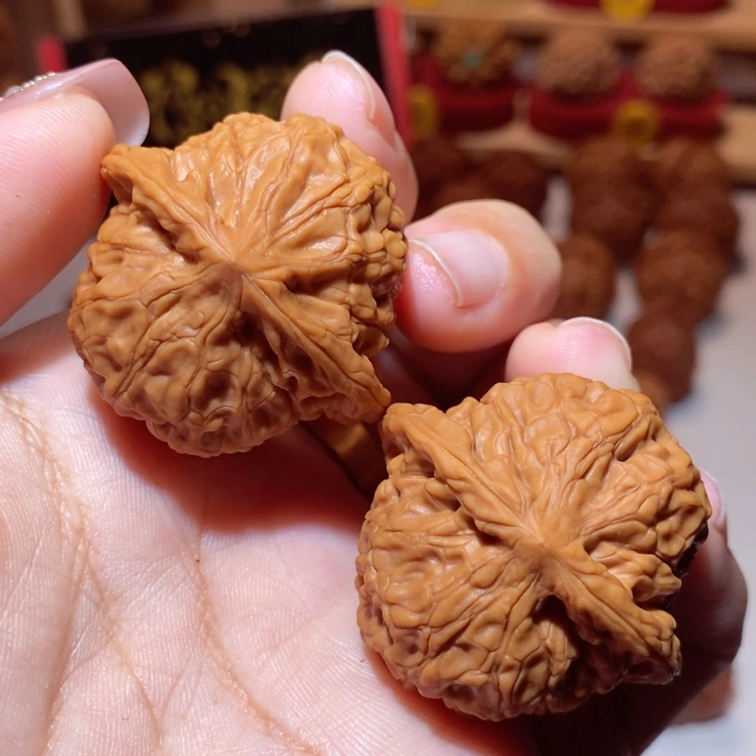 文玩核桃把件40尺龙公子