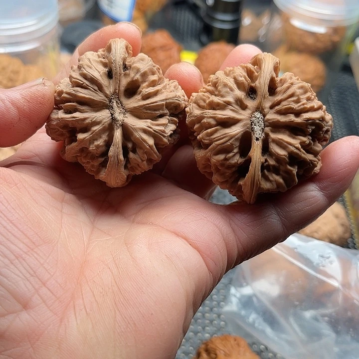 可***鸭把件桃核大粗筋边48