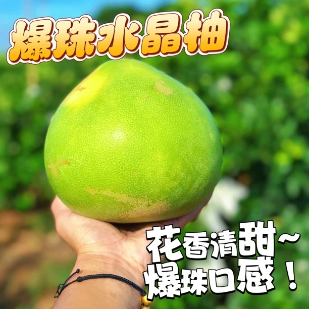 海南水晶柚 爆珠般的口感 多汁 皮厚 微苦 带点花香味 4.8斤 顺丰